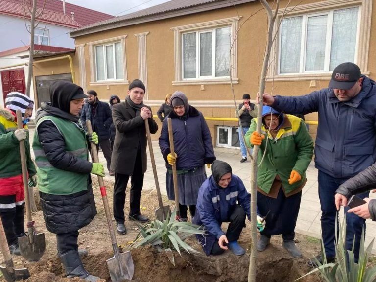 В сквере депутатов в Махачкале прошла акция по посадке деревьев