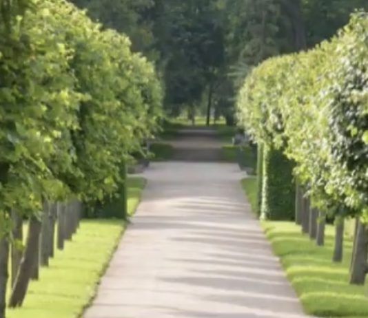 В Махачкале будут создавать мини-парки вблизи многоквартирных домов