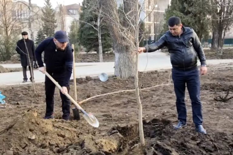 Глава города и сотрудники мэрии высадили деревья