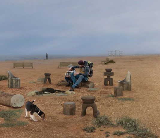 Презентация проектов Эльтавского леса и набережной