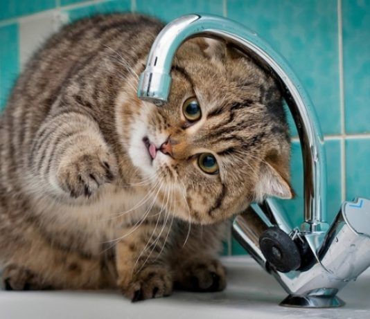 В Махачкале ожидаются перебои в подаче воды