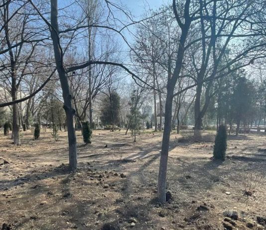 Скверы – завершающий этап