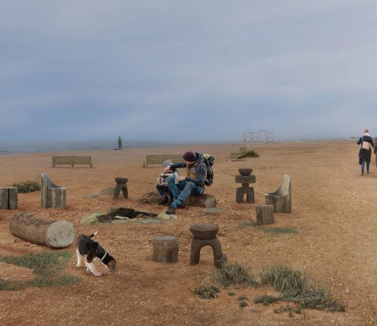 В Махачкале презентуют проекты Эльтавского леса и набережной Каспийского моря