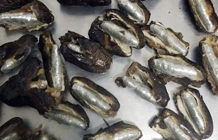 1761E111-C015-4F62-9C66-8B732BFC39C8