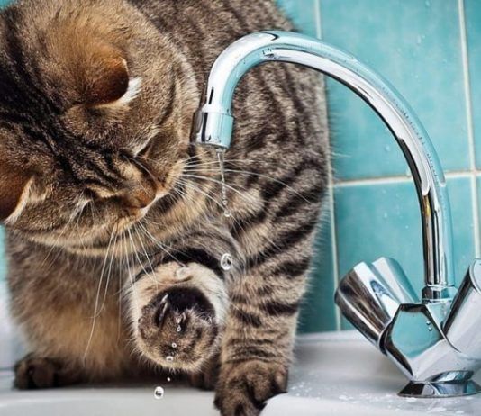 Часть Кировского района Махачкалы на несколько часов осталась без воды