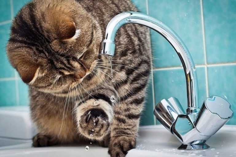 Часть Кировского района Махачкалы на несколько часов осталась без воды