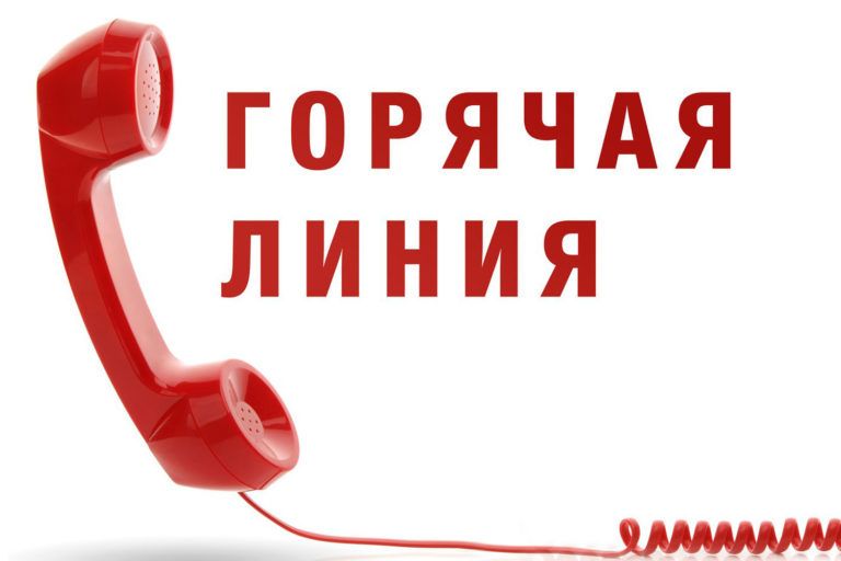 «Горячая линия» по вопросам завышения цен на продукты