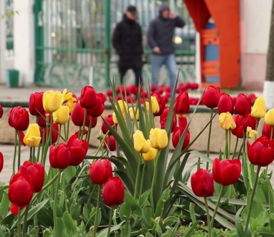 Готовим город к весне