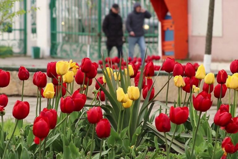 Готовим город к весне