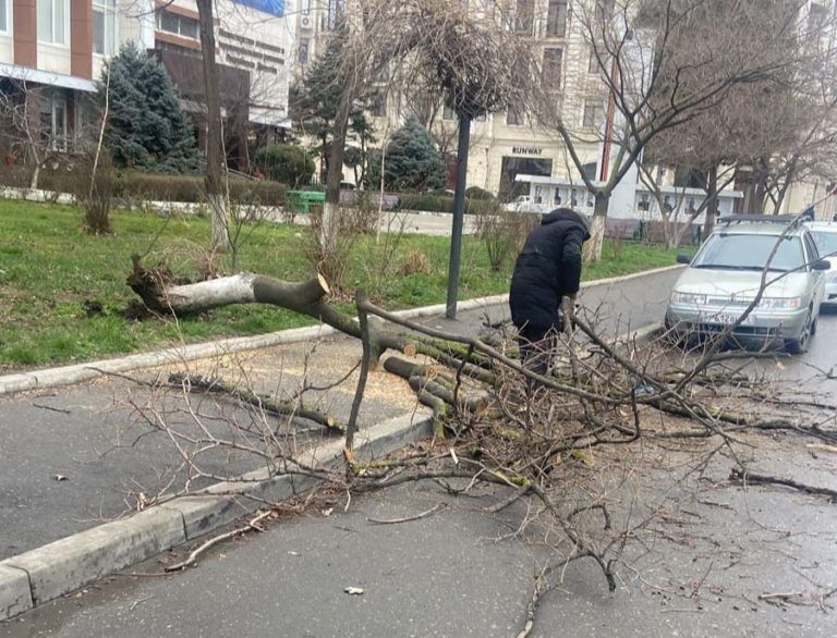Городские службы Махачкалы ликвидируют последствия непогоды