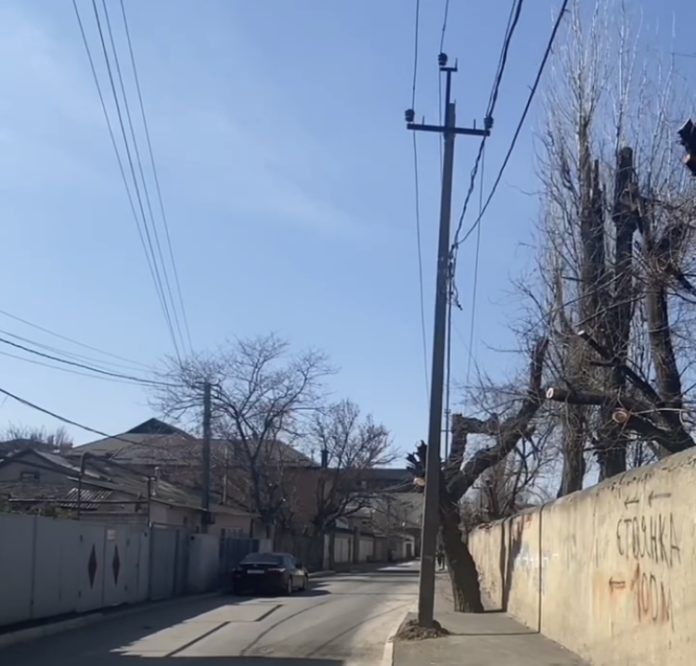 7F2439A7-03B8-4D41-ABE9-3C51B9C12CC3