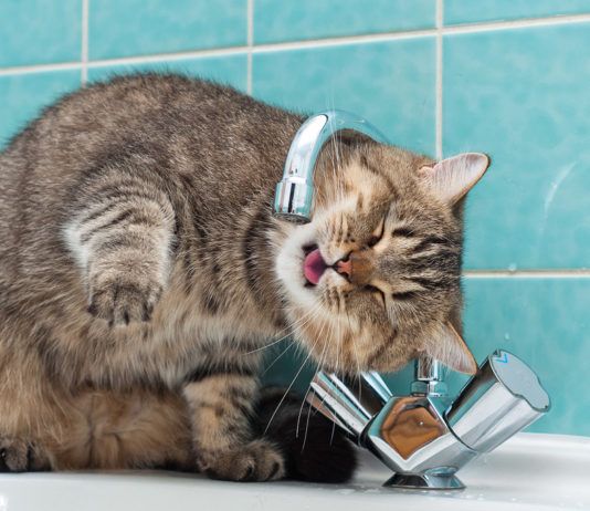 В Ленинском районе Махачкалы ожидается отключение воды