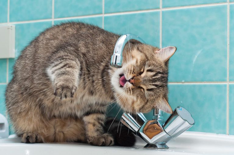 В Ленинском районе Махачкалы ожидается отключение воды