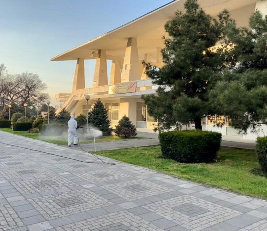 В парковых зонах Махачкалы провели акарицидную обработку от клещей