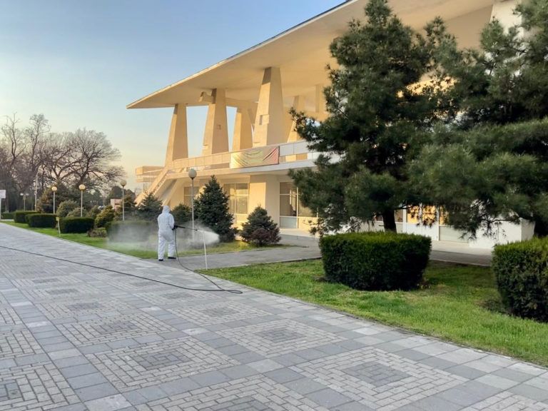 В парковых зонах Махачкалы провели акарицидную обработку от клещей