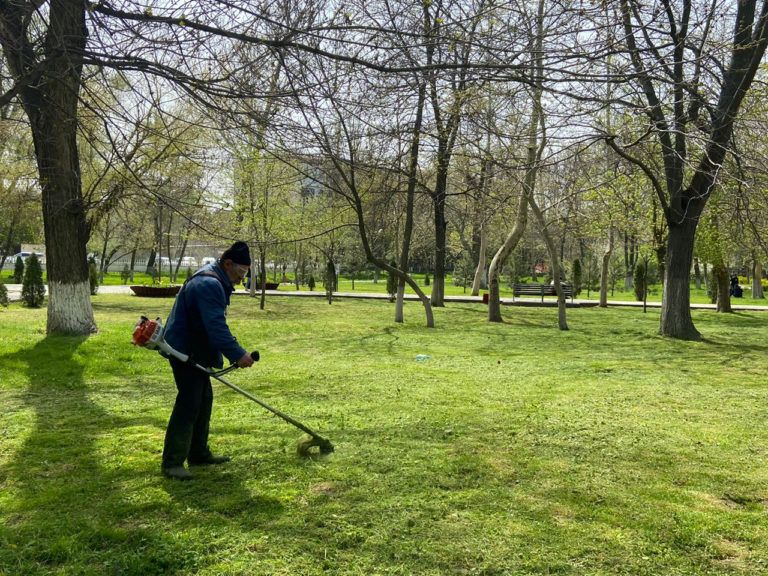 Парки и скверы Махачкалы готовят к летнему сезону