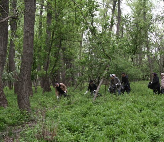 В Махачкале состоялся общегородской субботник