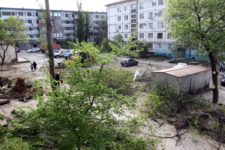 О дворах, деревьях и не только