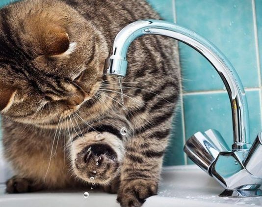 В Кировском и Советском районах Махачкалы временно отключат воду