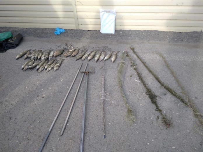 BCFB9F7E-3A34-4B99-8103-F21A23A98BEB