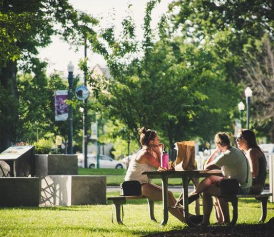 Урбанистика за торговлю в парках, но только упорядоченную