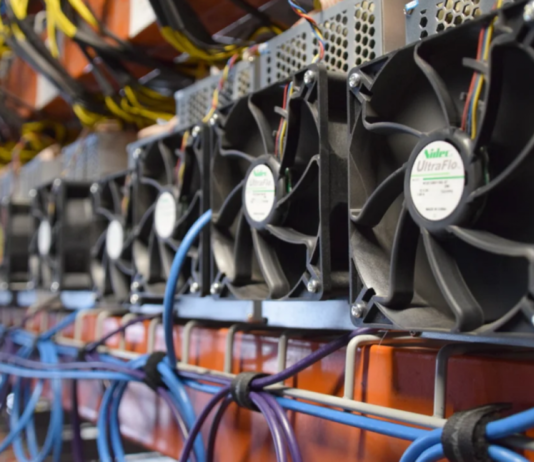 Майнинг-фермы: самый подпольный вид хозяйского угодья