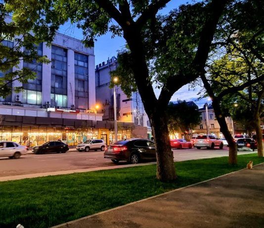 Более 200 крупномерных деревьев высадили на участке реконструкции в центре Махачкалы