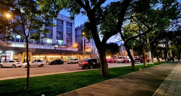 Более 200 крупномерных деревьев высадили на участке реконструкции в центре Махачкалы