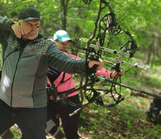Точно «в яблочко»