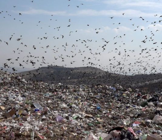 На свалке в пригороде столицы ликвидировали горение