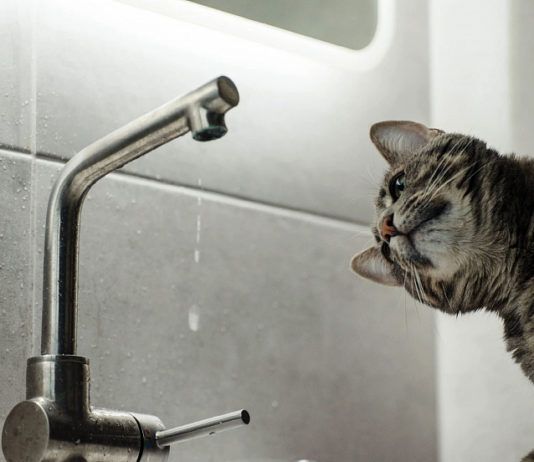 В Махачкале планируется отключение холодной воды