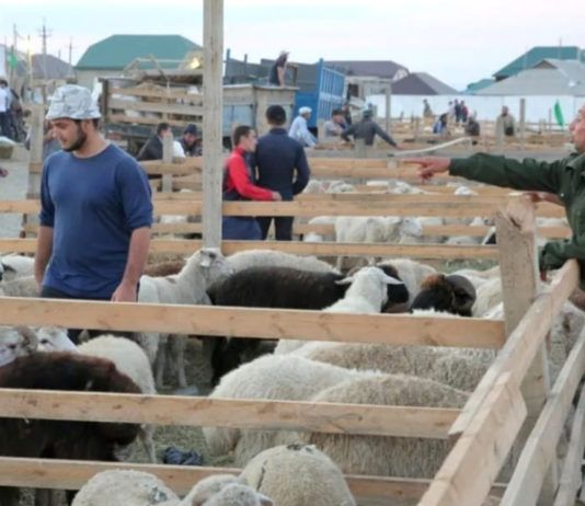 Махачкала готовится к празднованию Курбан-Байрама