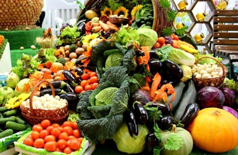 В Махачкале до конца года планируют открыть круглогодичный ярмарочный комплекс