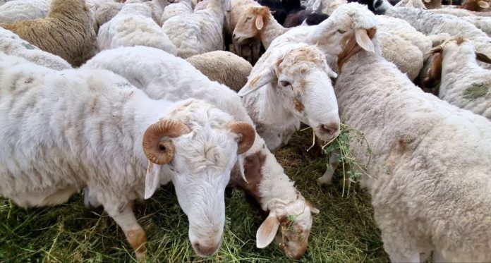 photo_2022-07-09_13-27-01