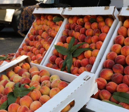 В Махачкале пройдет ярмарка с участием сельхозпроизводителей региона