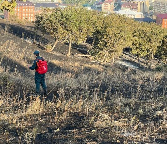 Возгорание сухой травы на склоне горы Тарки-Тау в Махачкале ликвидировали