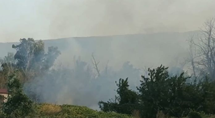 38DC947D-3905-41D5-9F5D-6ABBFF35657B