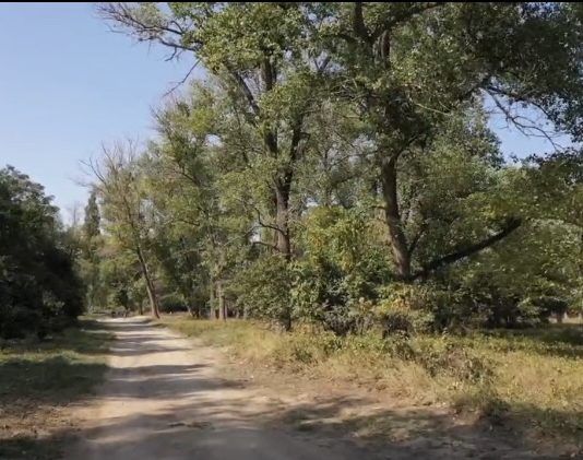 Мэрия Махачкалы добивается возврата городу 750 кв. метров земли на территории Эльтавского леса