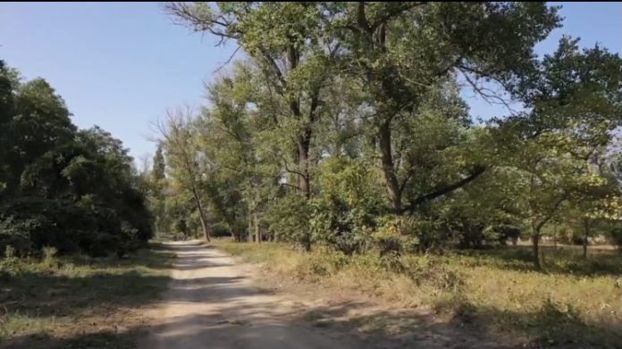 7FE50472-DB1A-4133-A9D9-0745C64CEACD