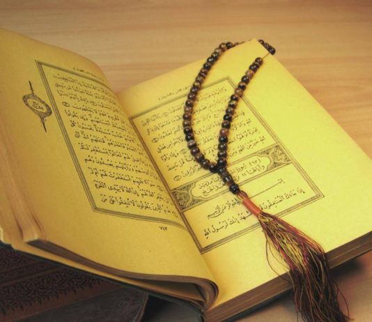 Сущность рабиты