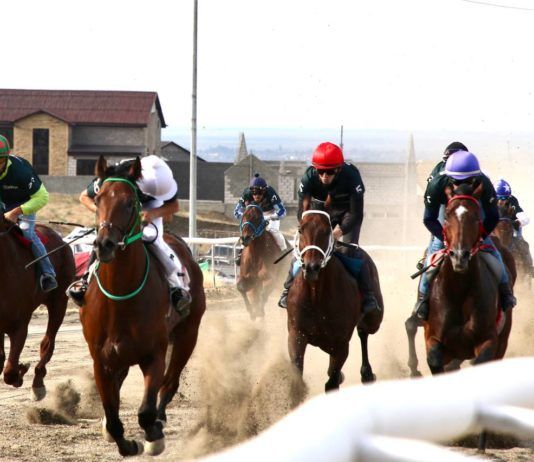 В Махачкале прошли конные скачки с призовым фондом в 3 млн рублей