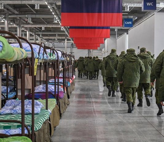 Муфтии Северного Кавказа призвали мусульман к участию в СВО