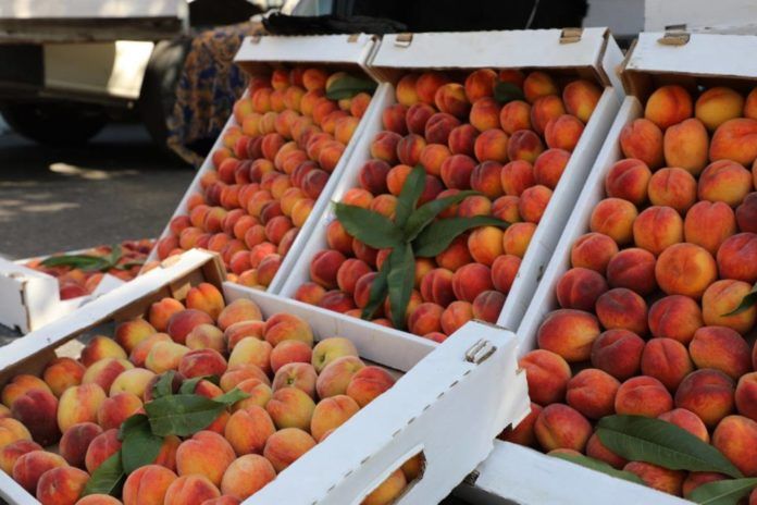 443D3D96-AE0A-4391-8CBF-411A385DC926