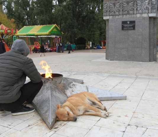 «Отойди – укусит!»