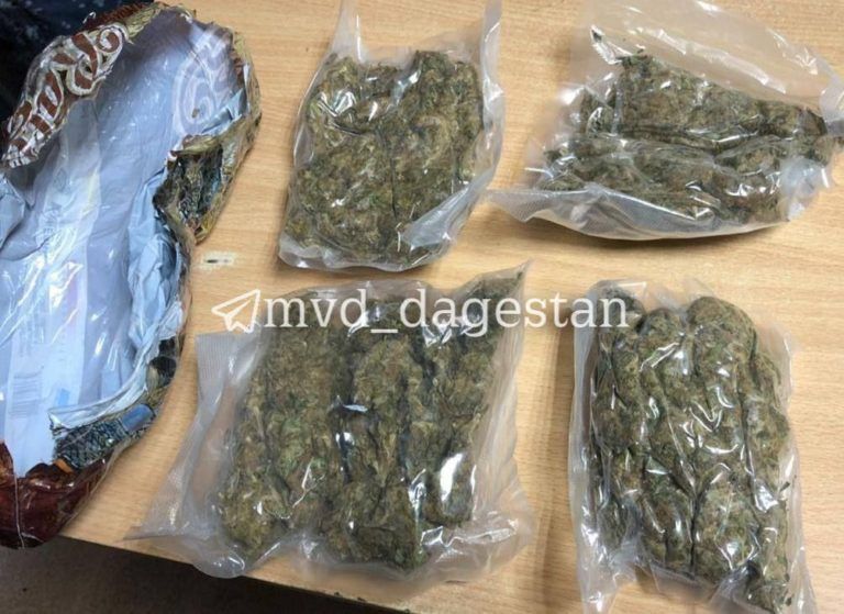 18-летнего жителя Махачкалы задержали при перевозке крупной партии наркотиков