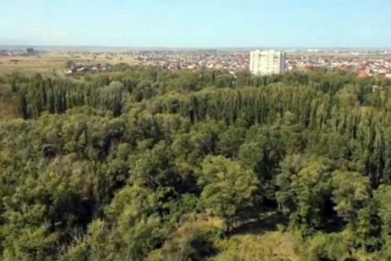 Махачкале возвращено еще три участка на территории Эльтавского леса