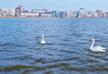 Ак-Гёль живет: дорогу осилит идущий