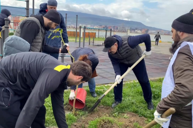 В парке Ак-Гель высадили 50 саженцев