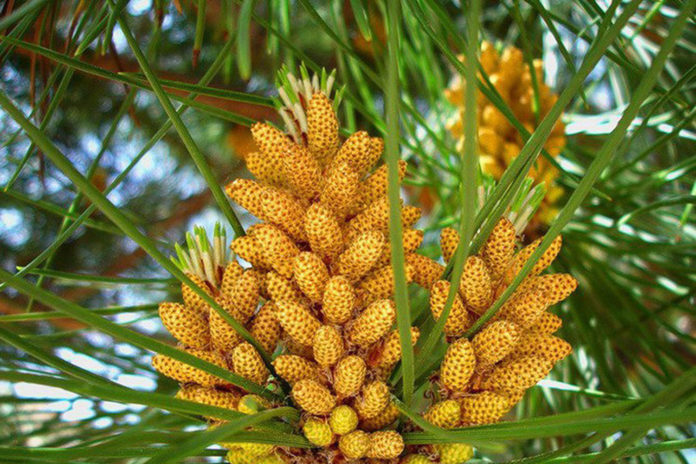 Здоровье №21_2023