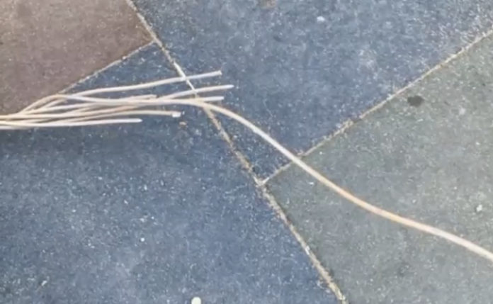 4513B518-93E5-4550-A132-AB253E406A8E